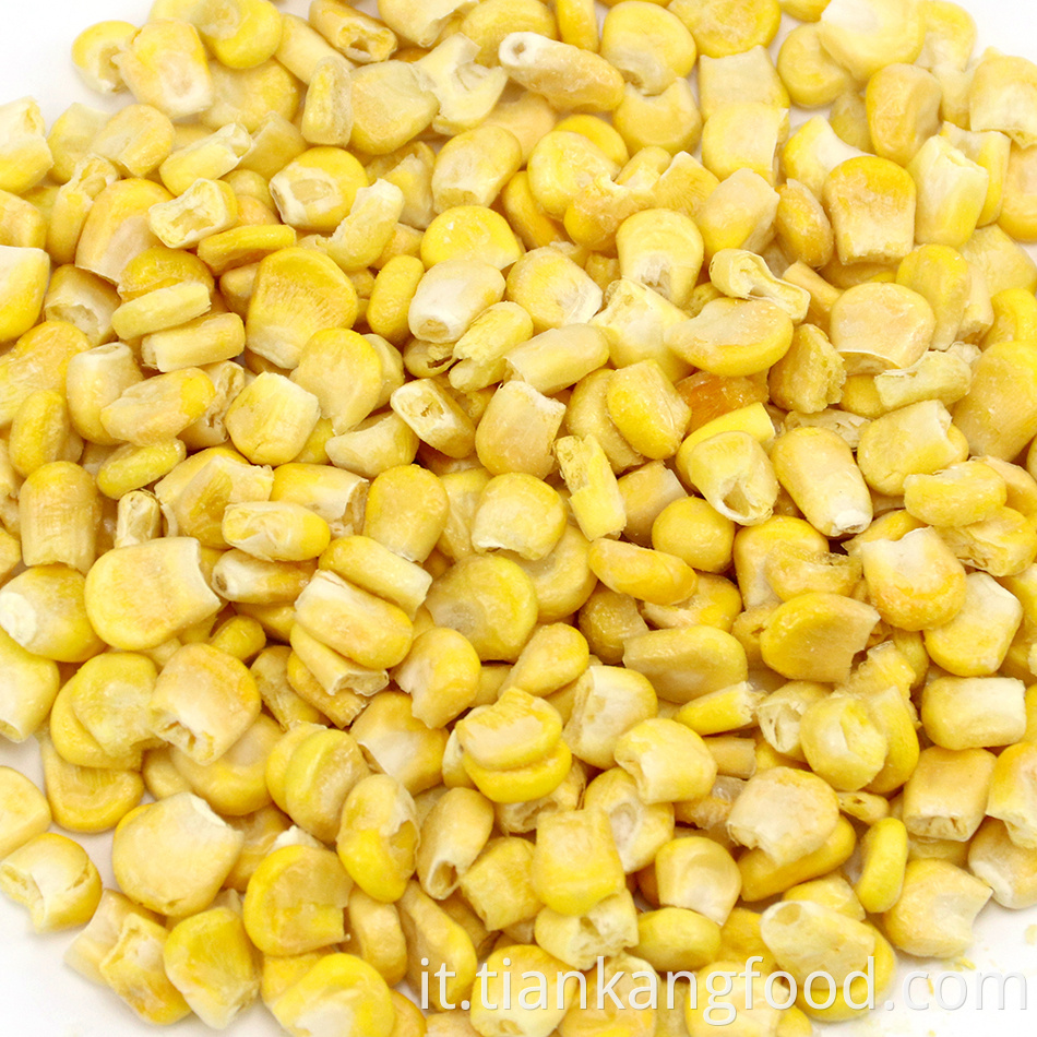 High Quality Dehydrated Corn